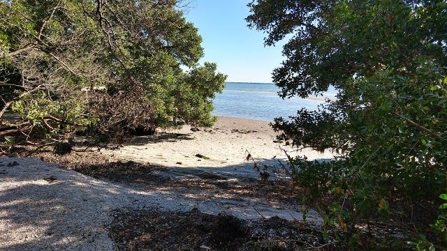 Joan M Durante Community Park